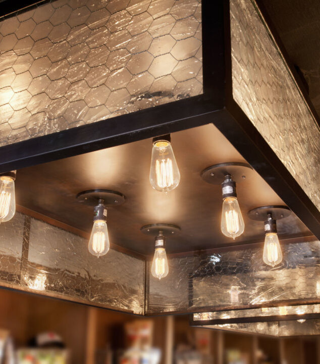 The Little Beet | Chicken Wire Glass Light Fixture