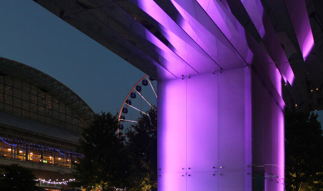 Chicago Navy Pier | Glass Cladding