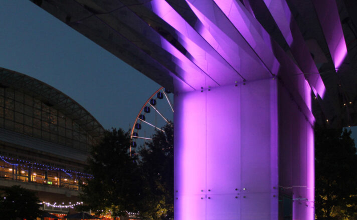 Chicago Navy Pier | Glass Cladding