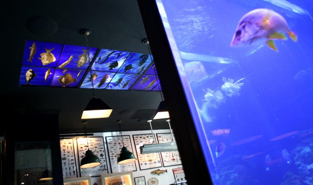 John Dory Restaurant | Stained Glass Ceiling