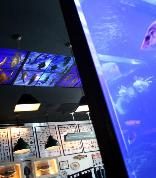 John Dory Restaurant | Stained Glass Ceiling