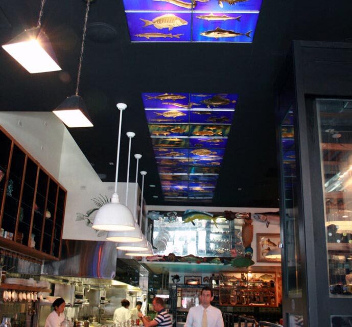 John Dory Restaurant | Stained Glass Ceiling