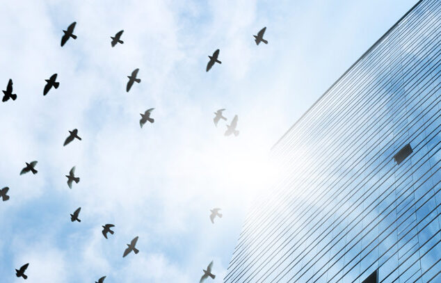 What is bird safe glass