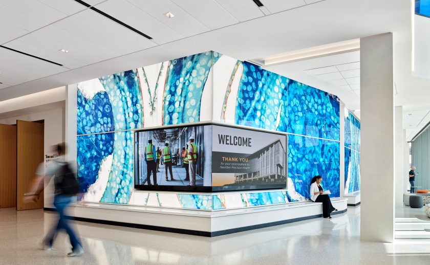 Turnkey Fusion Light Wall System