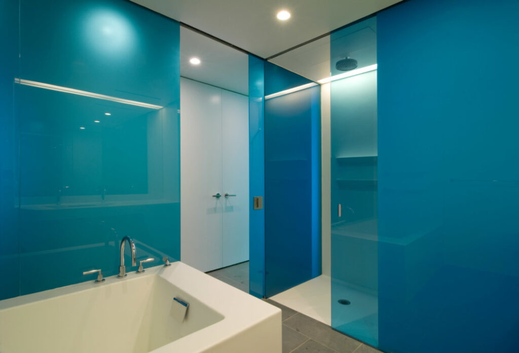 Shower Enclosure Glass